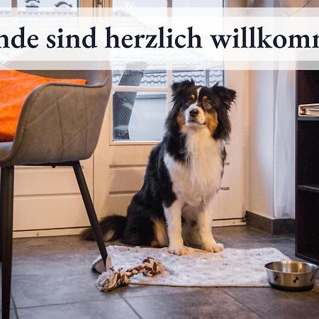 Blumenvilla 8 Mit Sauna Und Garten Schneverdingen Eksteriør bilde